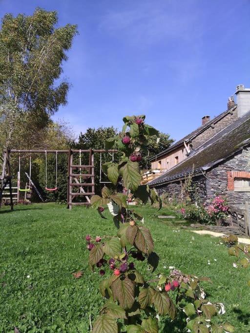 Gite Les 7 Frenes Vaux-sur-Sure 외부 사진